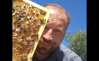 Pszczelarstwo – hobby czy życie?
