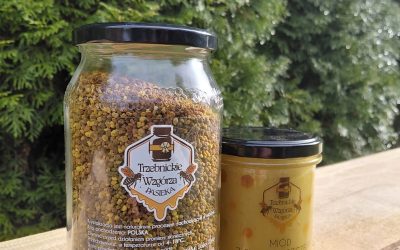 Pyłek pszczeli – od pierwszego zachwytu do codziennego rytuału