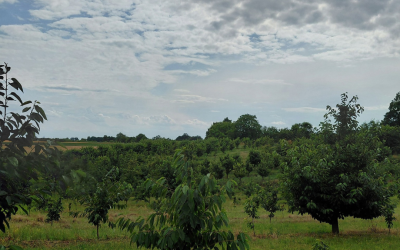 Trzebnickie Wzgórza – miejsce, w którym zakochałem się bez pamięci
