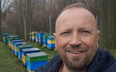 Pasieka wiosną – pierwszy oddech pszczół po zimie